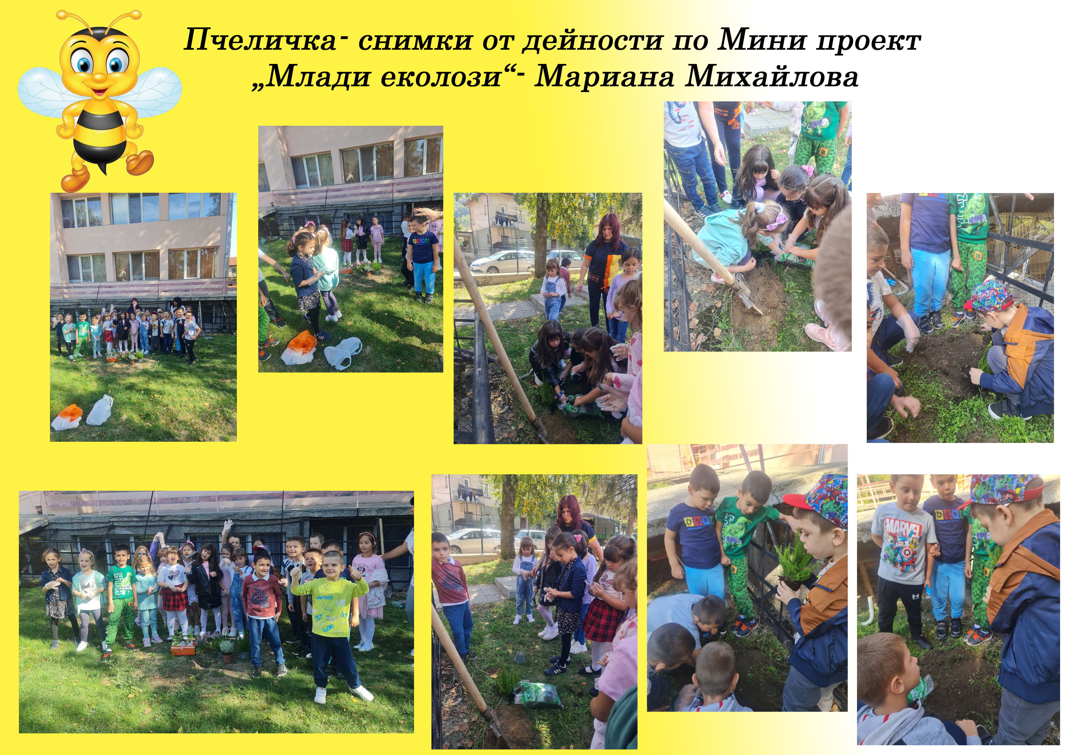 проект